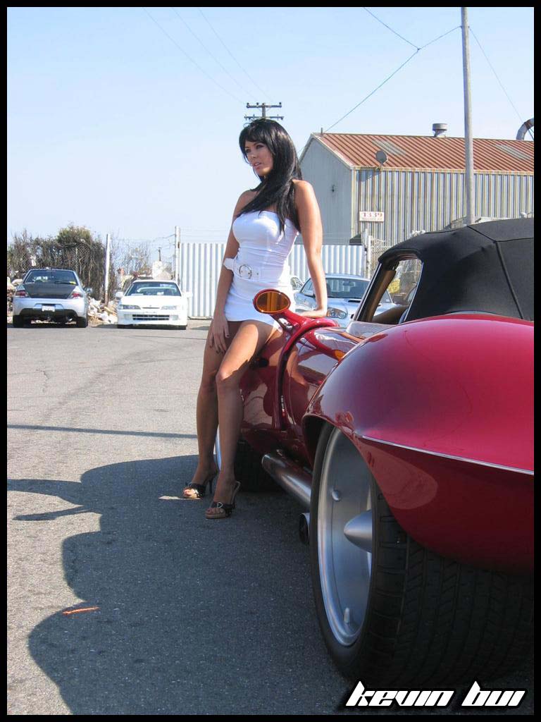 Picture238